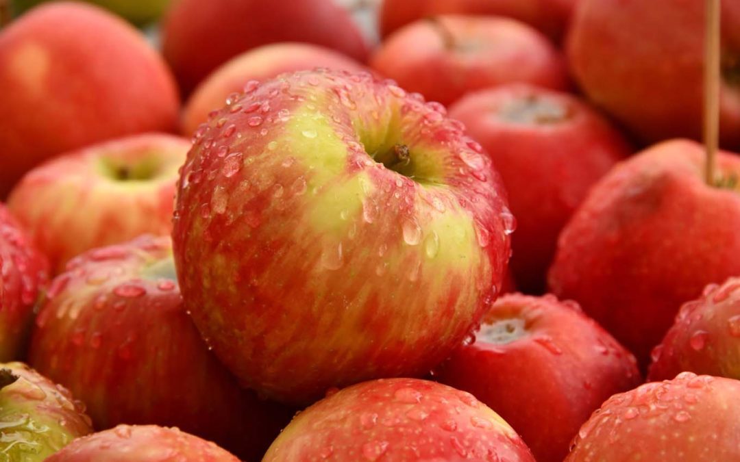 4 Exciting Ways to Experience Apples in Lake Chelan