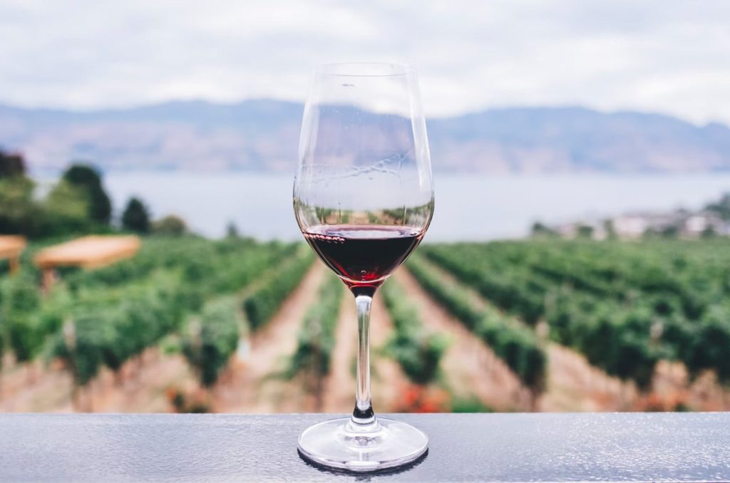 Taste Chelan Tour wine glass with a mountain background