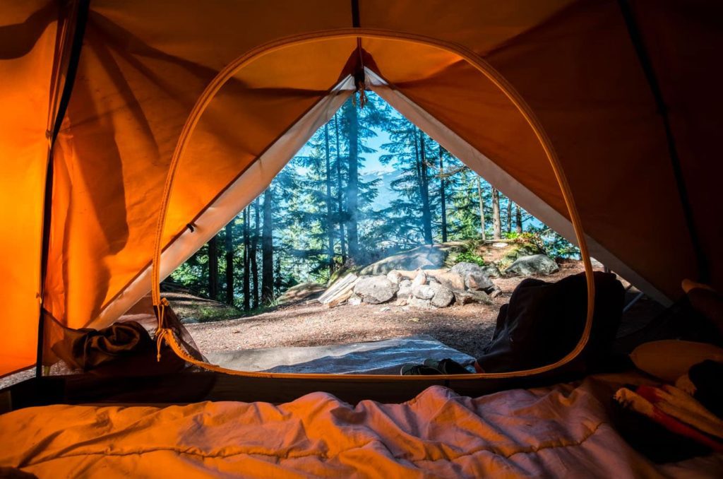 View of the woods from inside a tent while camping