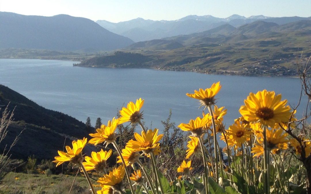 5 Spots to Hike in the Lake Chelan Valley