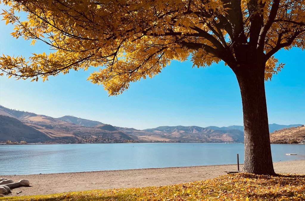 A beautiful harvest view of Lake Chelan with a colorful tree