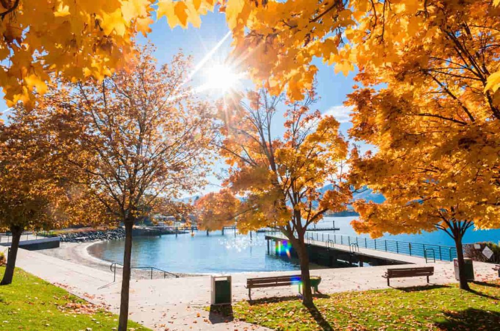 Beautiful fall image of Manson Bay Park with colorful leaves and a sunrise