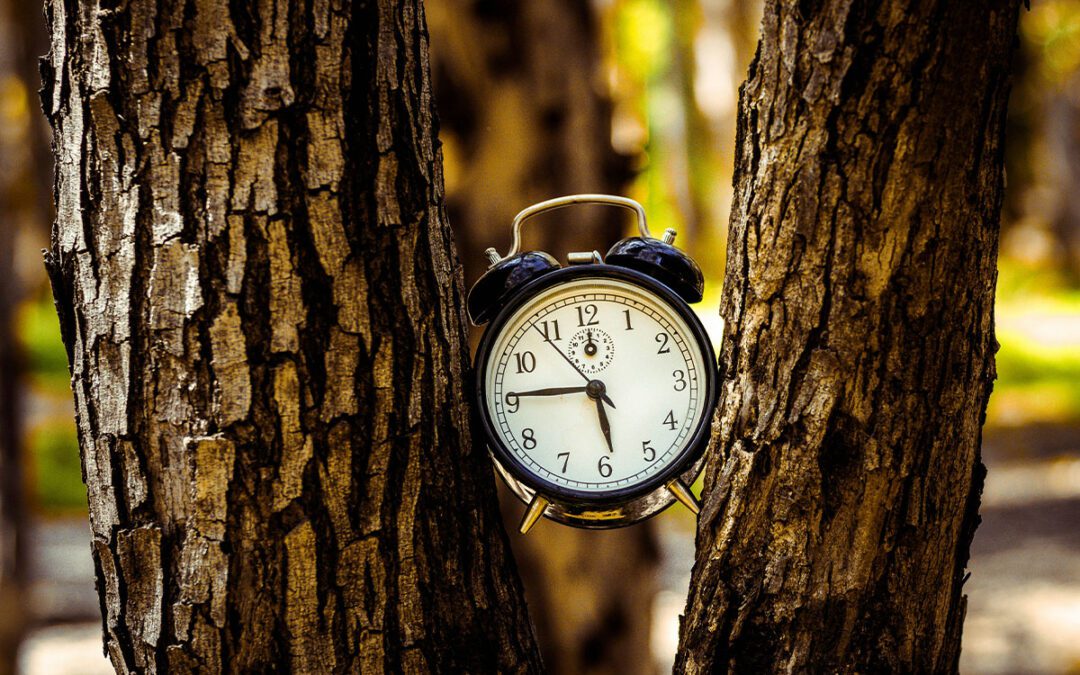 Daylight Savings Time: Why Do We Do It?